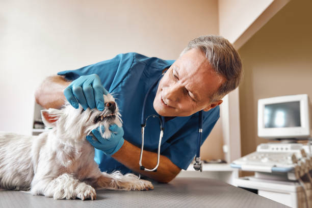 Best Weekend Emergency Dental Services in Smithville, NJ